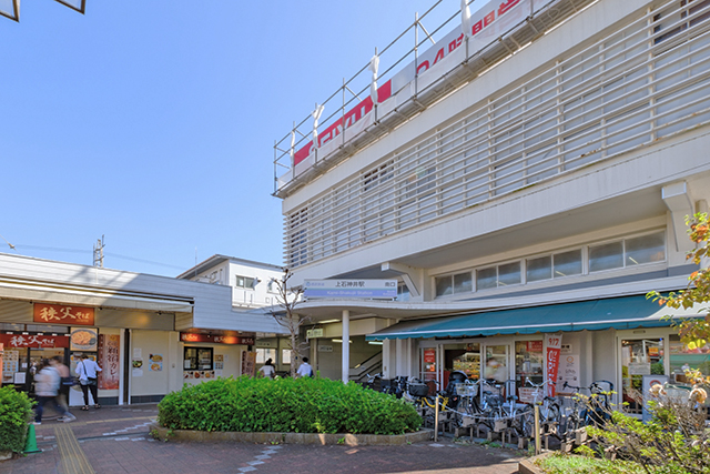 自然の光と深緑に囲まれた落ち着きのある住まい
