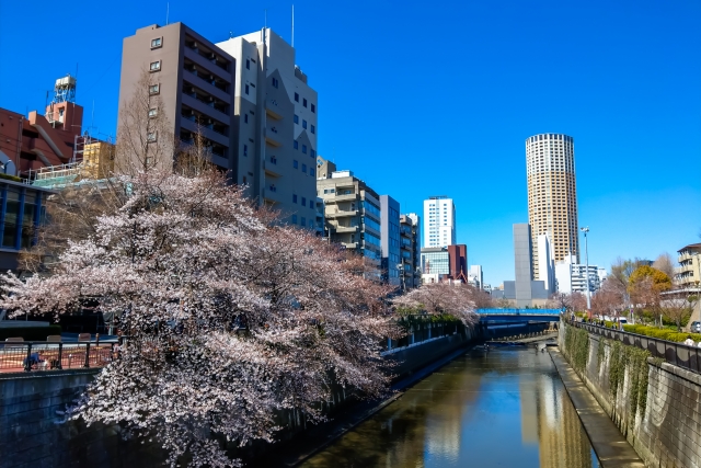 開放感◎「中目黒」アドレスの南東×南西角地
