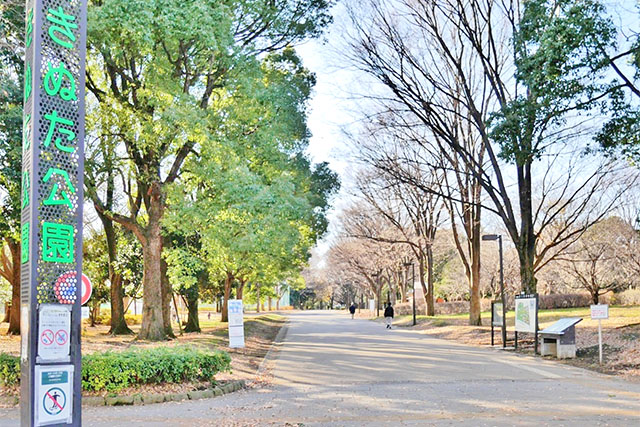延床面積290㎡以上で個性あふれるマイホームを。