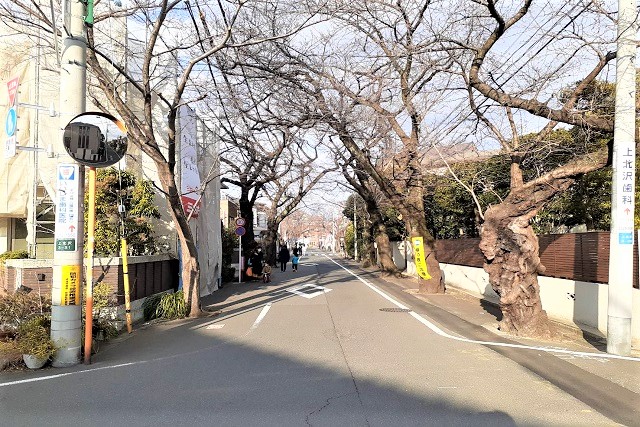 Selection 美しさと風格を備えた整備された上北沢の閑静な住環境
