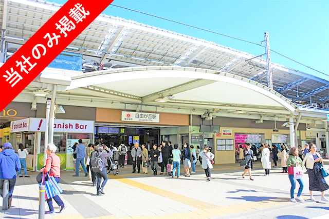 自由が丘9分！延床160㎡超可能な限定一区画