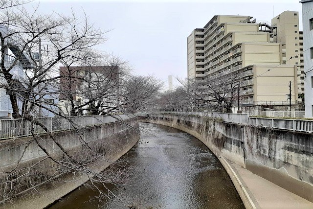 Selection 山手線最寄り駅前徒歩10分！南道路に接する限定1区画