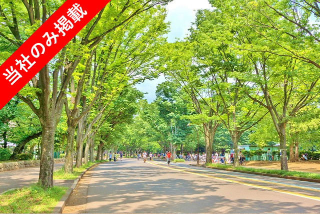 街並みが魅力の「柿の木坂」、40坪の大型整形地