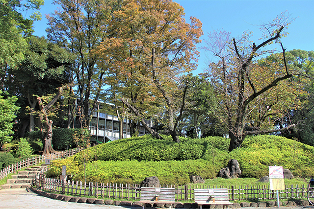 治安がよく子育て環境の整った「戸越公園」