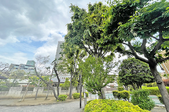 約69坪超の大型敷地。自然と利便性を存分に体感できる「東大泉」