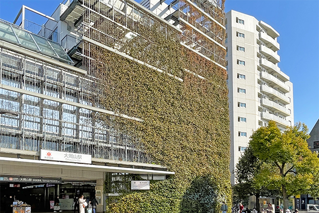 駅近で美しい街並みが魅力の南ひな壇の土地