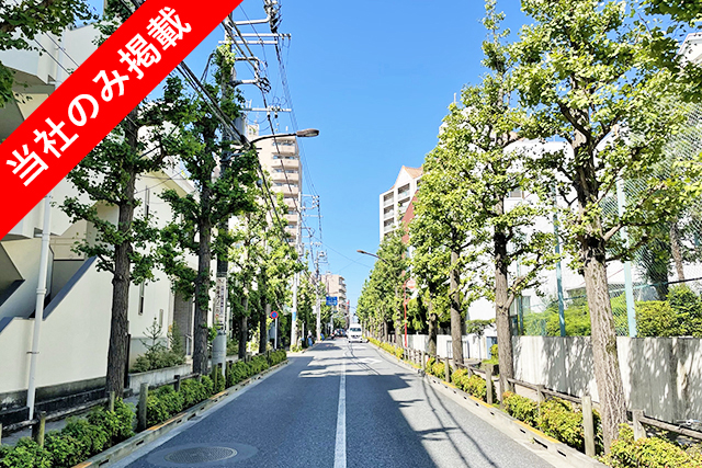 都心へのアクセスと美しい銀杏並木が魅力の「百人町」