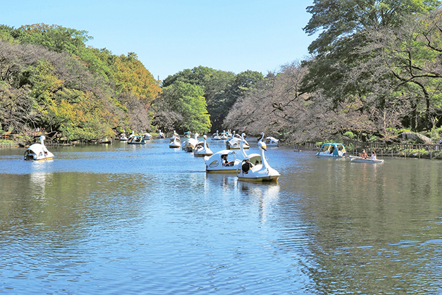 南向き接道の広々間口！自然の豊かさを身近に感じる優美な生活をあなたに