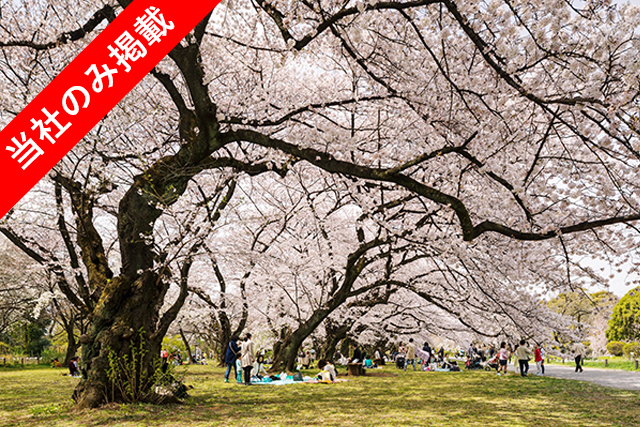 学習環境が魅力の「文京区白山」限定一区画