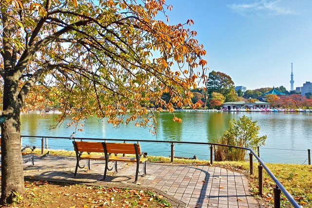 歴史と文化を感じる街、「上野桜木」