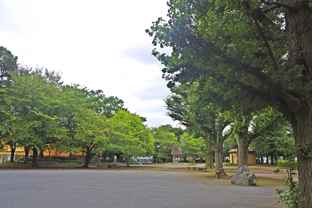 Selection 緑道が美しい街並みの閑静な邸宅街「下馬」