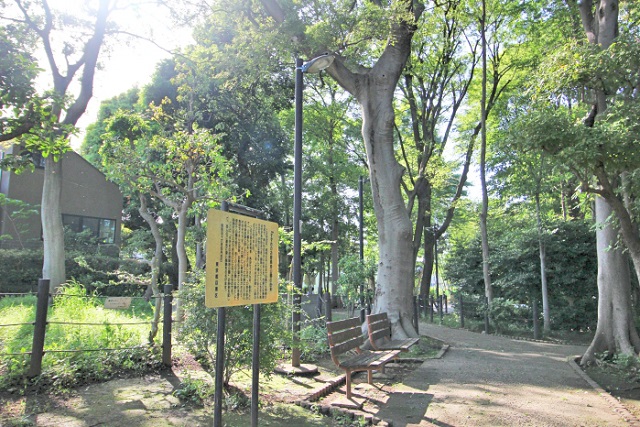 Selection 「学芸大学」駅徒歩2分、店舗兼住宅にもおすすめ！