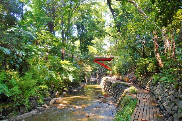 【尾山台　土地】間口10ｍ南東向きで日当たり良好