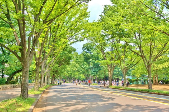 Selection 自然豊かで閑静な住環境と利便性が魅力【東が丘】