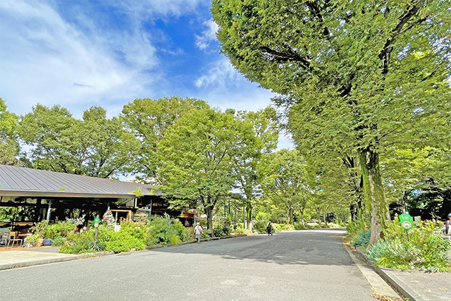 オリンピック公園徒歩2分！希少な駒沢アドレスの整形地