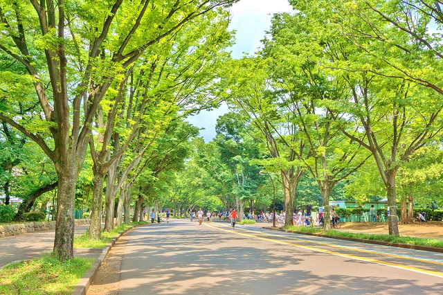 開放感◎「深沢」の70坪大型邸宅地