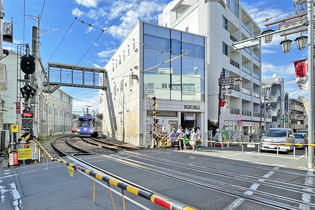 庭付きの大型邸宅や二世帯住宅にもおすすめ「桜」の36坪整形地