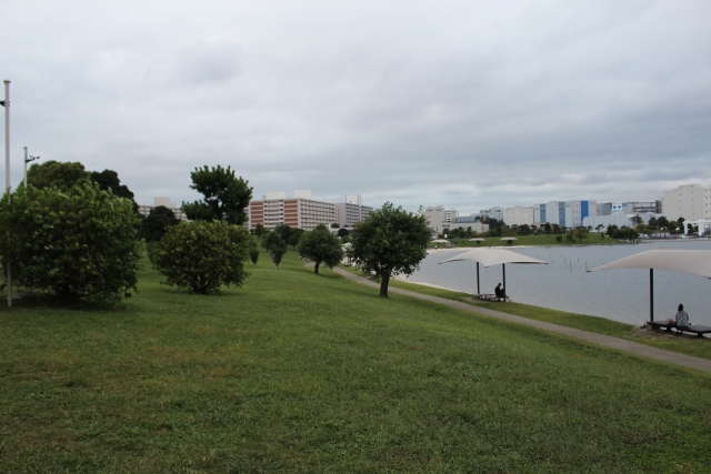 海が近く公園も点在している立地、自然を存分に味わえる土地