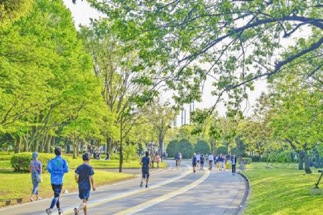 Selection 美しい街並みが魅力の「八雲」でワンランク上の暮らし
