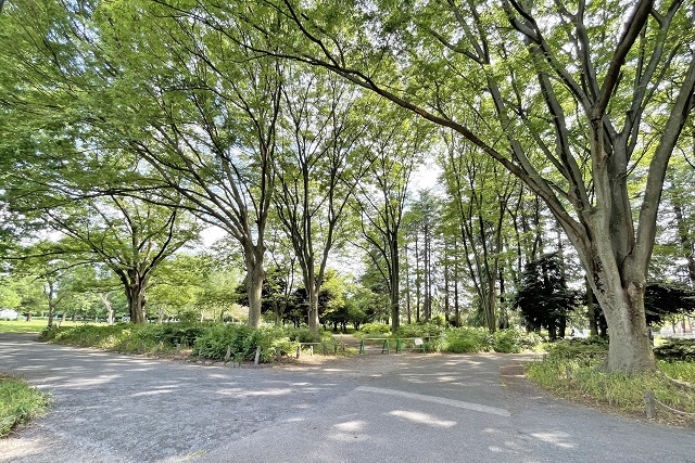 Selection 浜田山に5,000万円台からのオーダーメイド住宅
