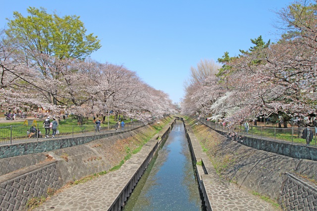 selection　二世帯住宅や収益物件としても！79坪の大型敷地