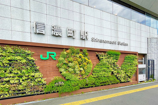 信濃町駅5分×南向き、都心と自然が調和する贅沢な暮らし