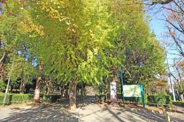 Selection 角地含む限定2区画、交通量が少なく落ち着いた住環境