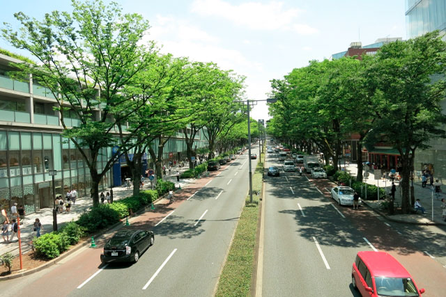 「南青山」アドレス 高台に位置する邸宅地 限定1区画