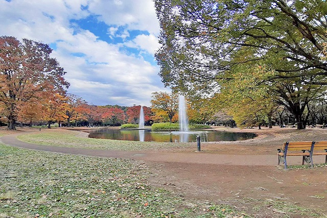 Selection 代々木公園の豊かな自然を享受した邸宅地